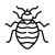 bed-bug