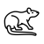 rat