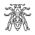 wasp